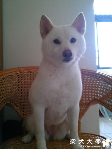 Candy看到我上班前下班後的表情,真的差很多ㄋ(原發表者:a26888250123)(相簿)