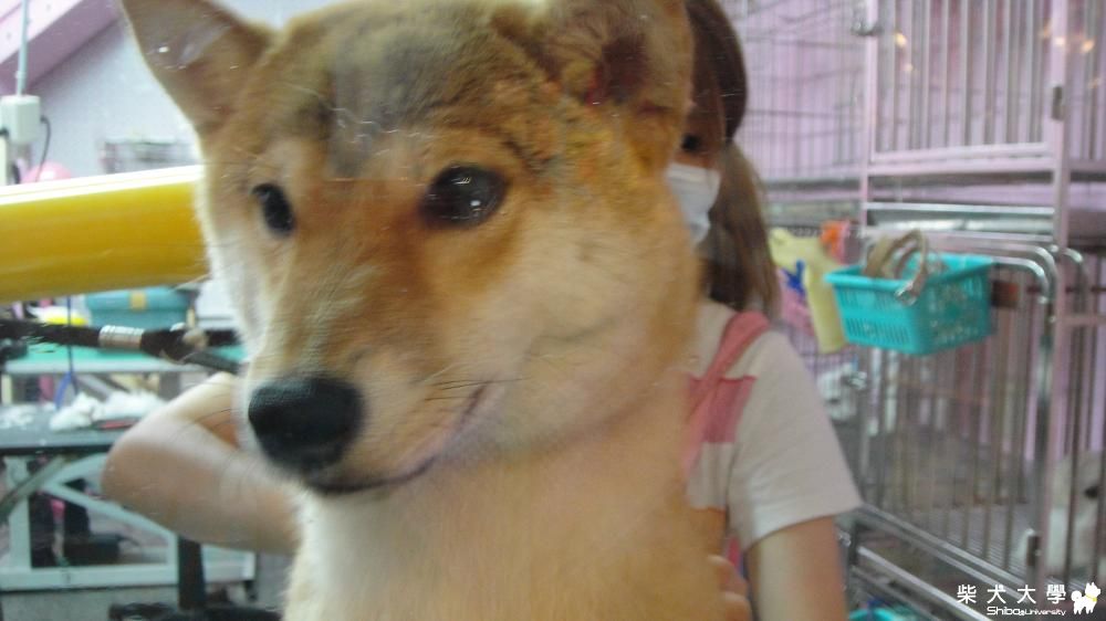 偶爾送洗(原發表者:麻糬媽)(環境管理)