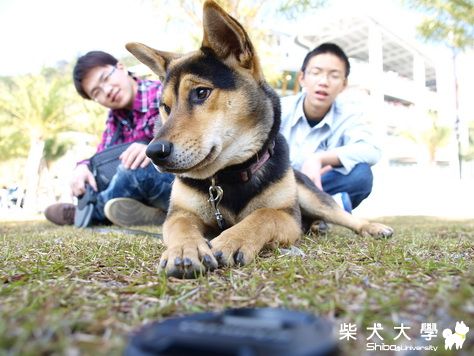 憂鬱的小生XDD(原發表者:tokonai)(相簿)