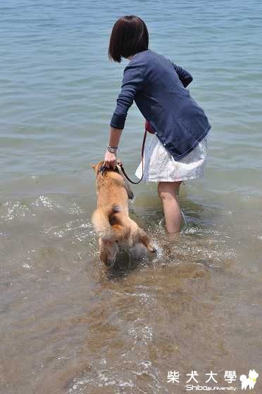 一半喜一半憂的肉丸(原發表者:肉丸麻)(相簿)