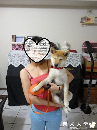 Kimi 近況 :))) 大家都好愛她 :***(原發表者:kimi爸)(相簿)