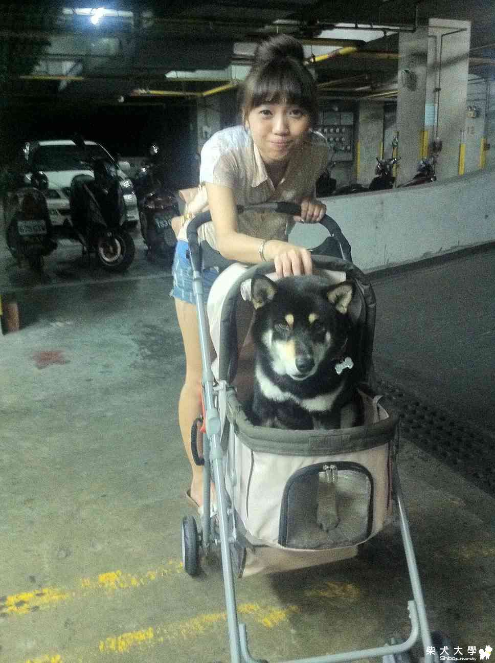 小黑急性熱衰竭後引起肝發炎...(原發表者:littlerax)(醫療保健)