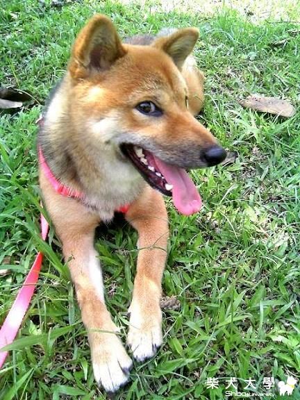 MEKI的夏日大作戰!!!(原發表者:MEKI麻)(相簿)