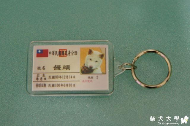 饅頭拿到狗民身份證囉~~~(原發表者:JeffreyTsai)(相簿)