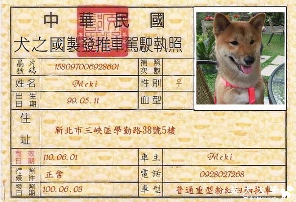 Meki 的駕照XD(原發表者:MEKI麻)(相簿)