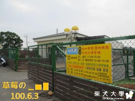 柏林寵物俱樂部の草莓篇(原發表者:草莓)(相簿)