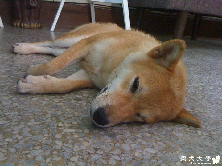 因為我挑食 所以我好幾天都吃不飽了(原發表者:light)(相簿)