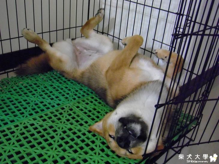 (請慎入!!)鬼片柴主角...(原發表者:MEKI麻)(相簿)