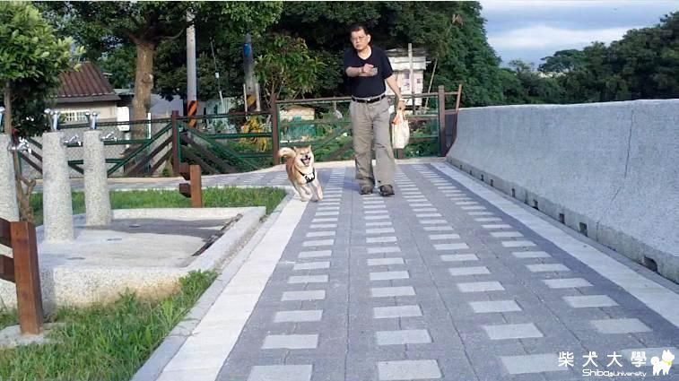 拔拔讓偶等這麼久(原發表者:吉谷家)(相簿)