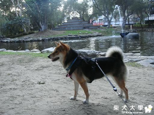 BOBO巧遇YUKO小妹妹(原發表者:bolen912)(相簿)