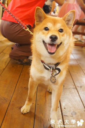 100號牧場參與祝賀篇(原發表者:皮蛋)(相簿)