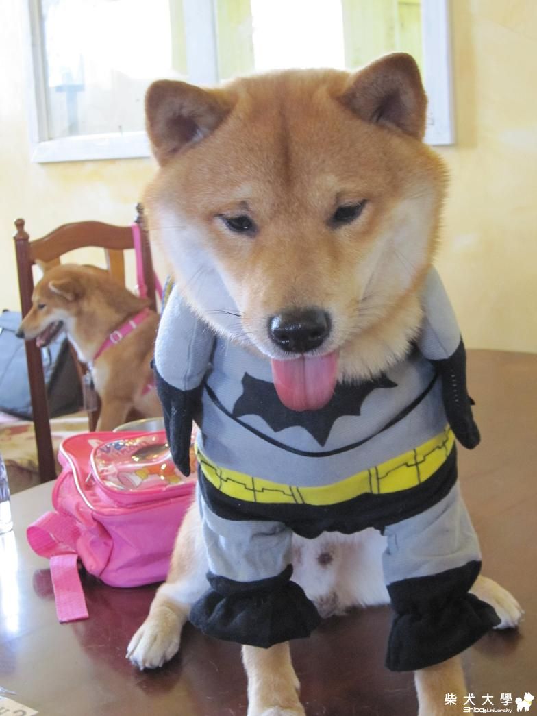 fighter 生日趴 100號牧場  果汁篇(原發表者:果汁媽)(相簿)