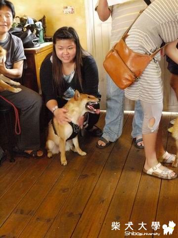 fighter 生日趴 100號牧場-很多照片篇~(原發表者:小卡媽咪)(相簿)