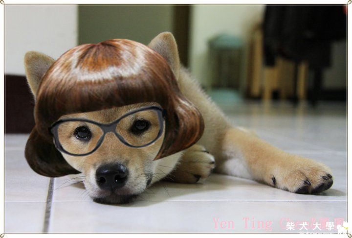 麻麻幫我做的藝術照(原發表者:陳曉婷)(相簿)