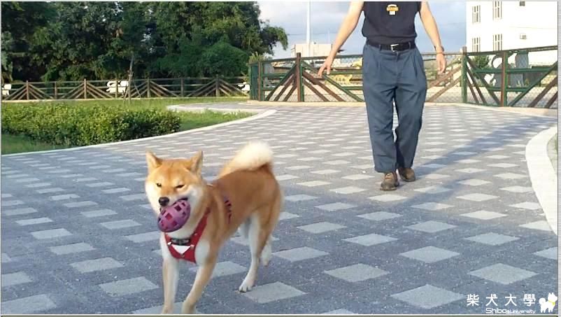 還是最愛跟麻麻玩~HD(原發表者:吉谷家)(相簿)