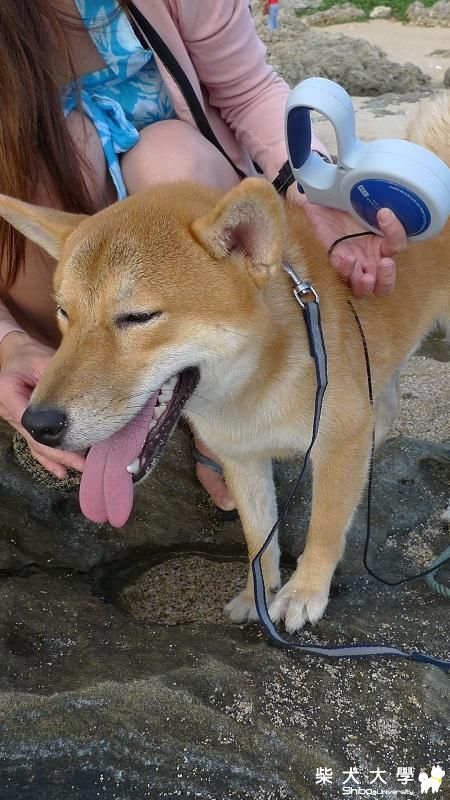 海匠墾丁遊(原發表者:摩卡媽咪)(相簿)