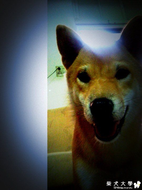 喀逸醬吃香蕉(原發表者:light)(相簿)