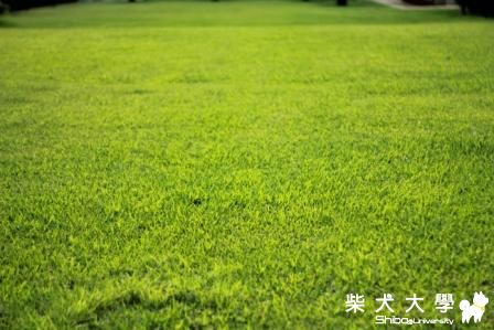 熱的要死的100號牧場遊(原發表者:洪麻糬)(相簿)