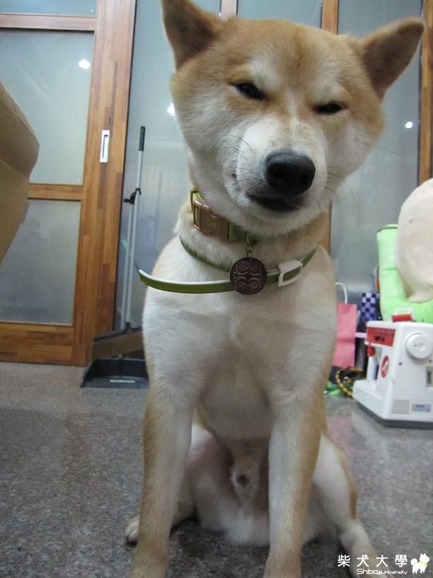 我啃~我啃~我啃啃啃..........(原發表者:果汁媽)(相簿)