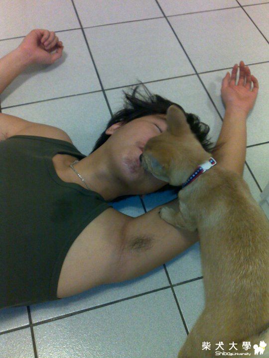 把拔昏倒了怎麼辦???(原發表者:melody_7165)(相簿)