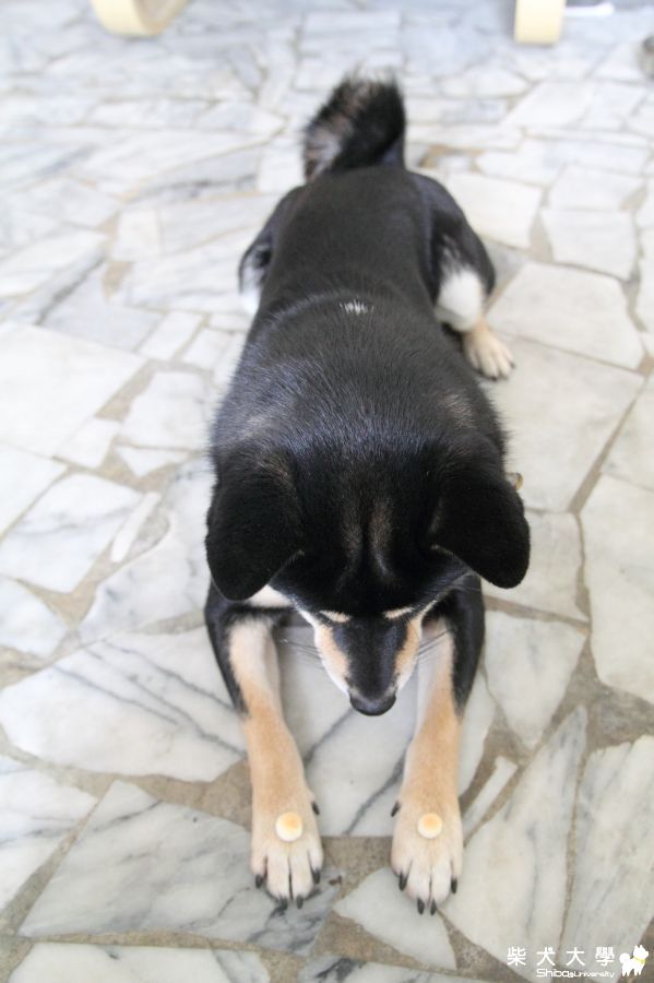 等等~不能吃喔~等等啦>_<!!(原發表者:深夏)(相簿)