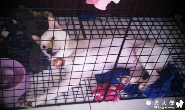 摳摳也在牢裡的日子(原發表者:摳媽)(相簿)