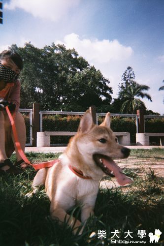 Nemo寶貝女兒七個月大囉:目(原發表者:Nemo爸)(相簿)