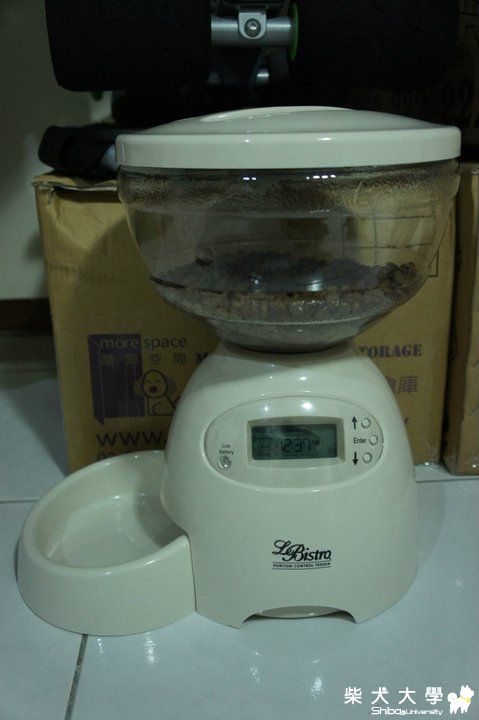 胖的新禮物~花花吃大醋(原發表者:jjjjjcute)(相簿)