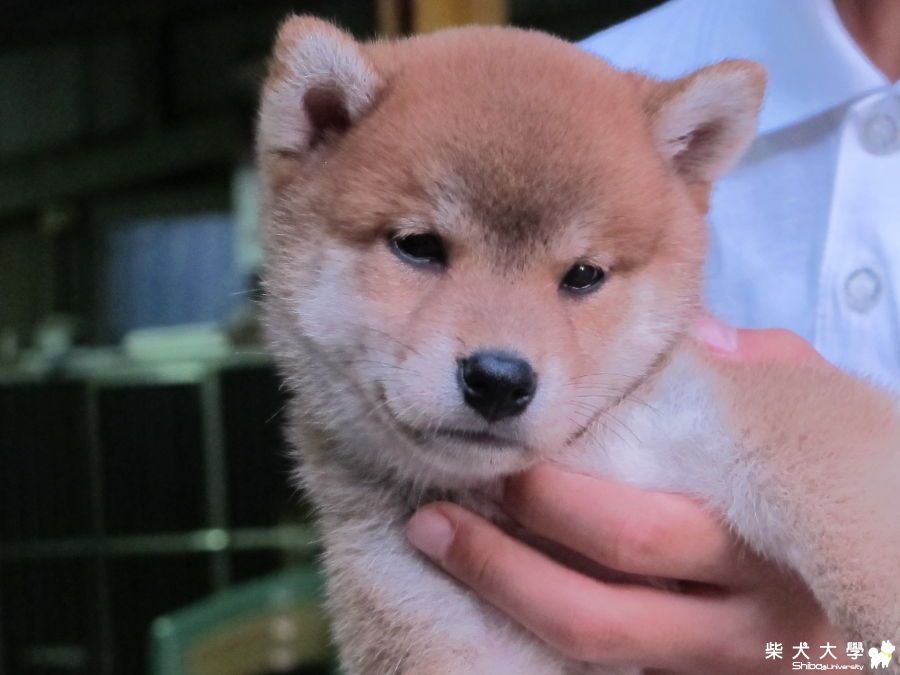 和Hola的第一次邂遘(原發表者:HOLA)(相簿)