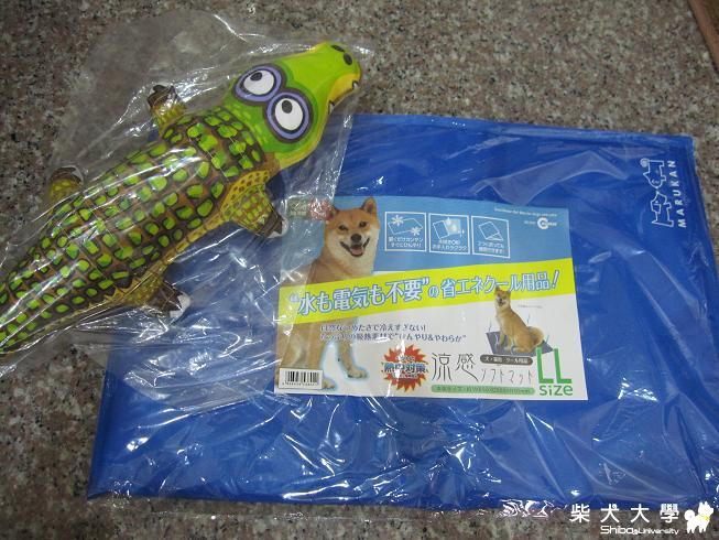 涼墊&小鱷玩具(原發表者:果汁媽)(綜合討論)