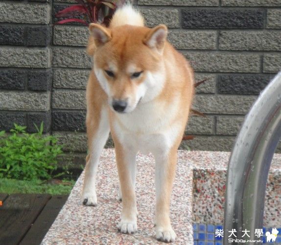 小恩再臨優聖美地(原發表者:小恩)(相簿)