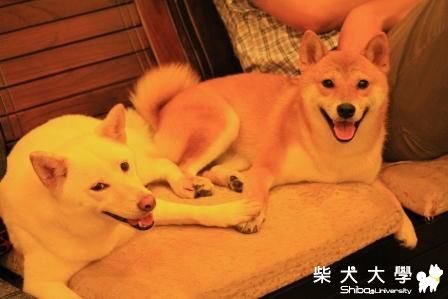 姐妹感情好~~~(原發表者:洪麻糬)(相簿)