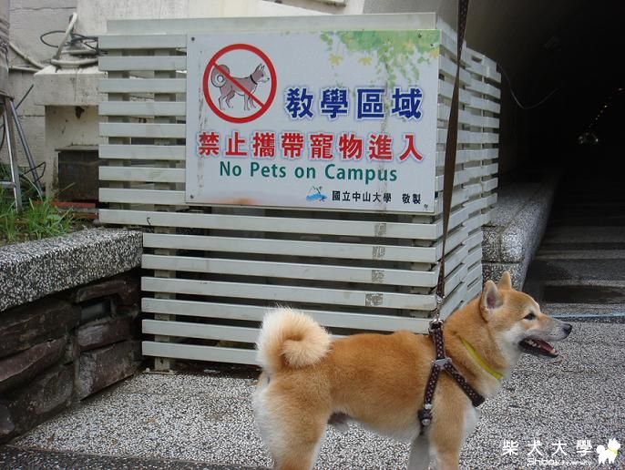一模一樣的巧合??哈哈哈.....(原發表者:胖胖麻麻)(相簿)