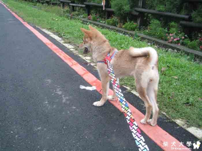 開刀了.....嗚(原發表者:ikeyama36)(醫療保健)