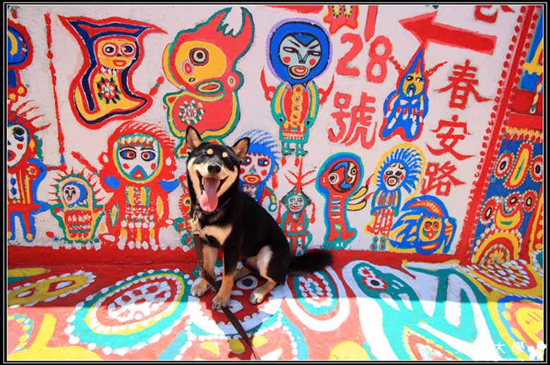 彩虹村(原發表者:Boss醬)(相簿)