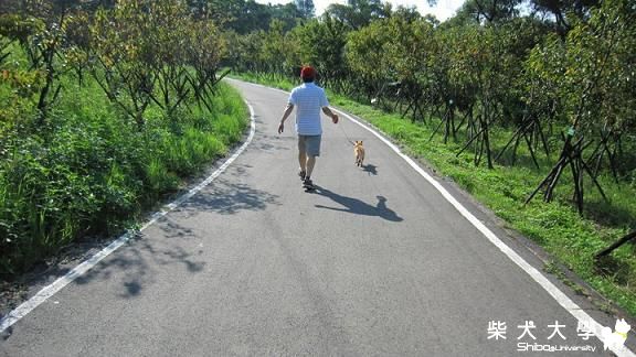 新竹青青草原半日遊(原發表者:采柴家)(相簿)
