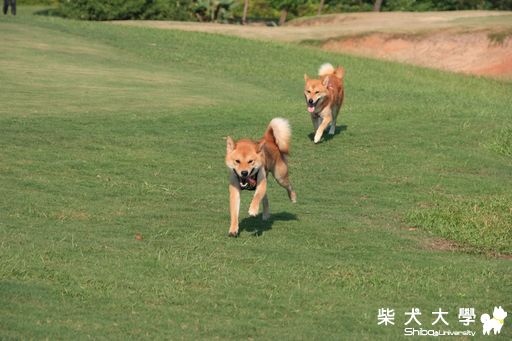 20110724綠風生日趴(原發表者:Bart)(相簿)