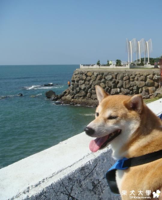 三芝聽海行~(原發表者:肉包姐姐)(相簿)