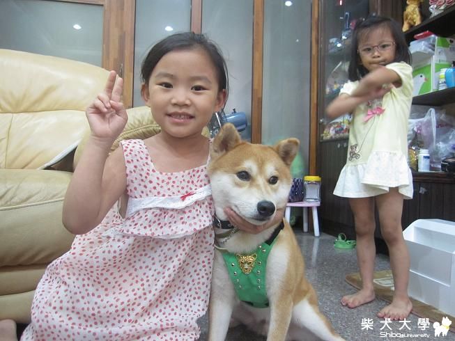 果汁的新款胸背帶--麻麻做的！！(原發表者:果汁媽)(綜合討論)