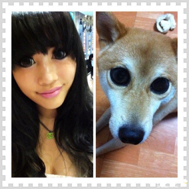 我們都有gaga眼~~(原發表者:soarwu)(相簿)