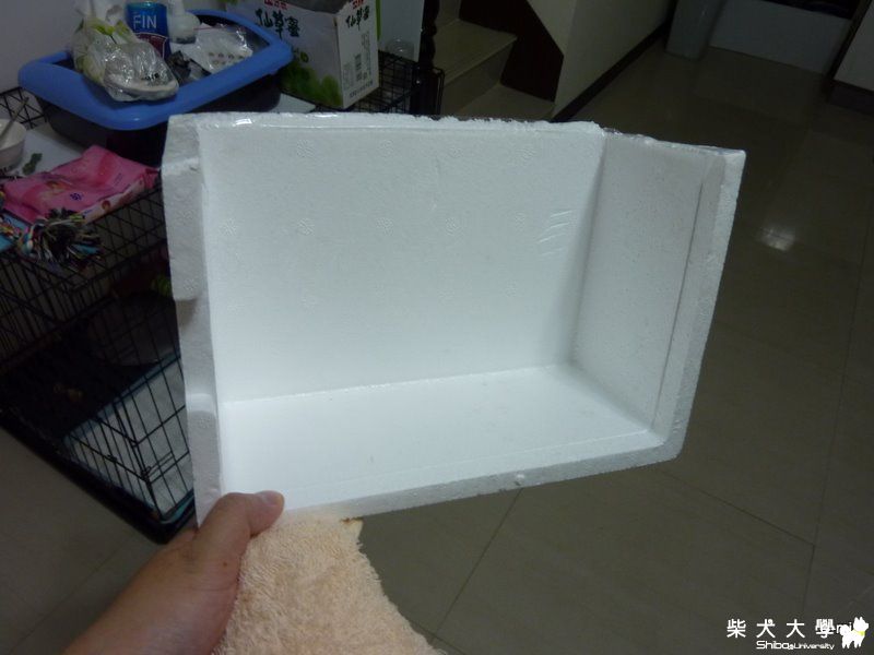 消暑方法分享(原發表者:judy0809)(綜合討論)