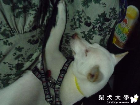 【宜蘭】荳荳的礁溪溫泉之旅100.7.28(原發表者:ugasd)(相簿)