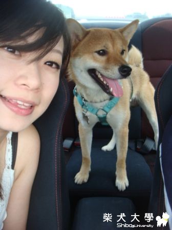 墾丁+花精靈占卜(原發表者:蔡佳玲)(相簿)