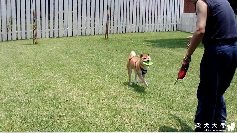 100號牧場走走(原發表者:吉谷家)(相簿)