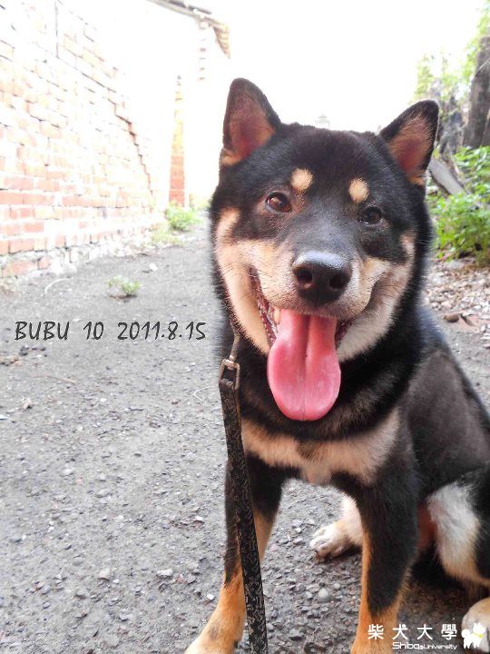 這小子10個多月~(原發表者:阿助)(相簿)