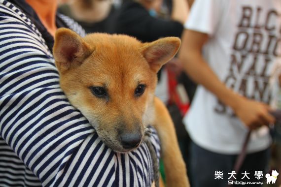 O熊阿公家的妹妹(原發表者:娃娃的阿爸)(相簿)