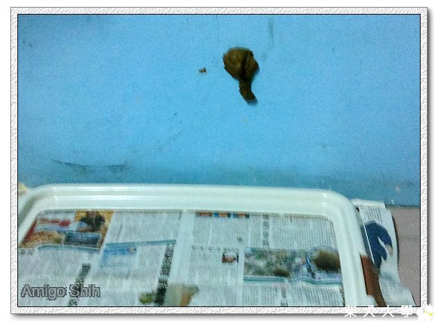 便便分享(原發表者:豪邁麻麻)(綜合討論)