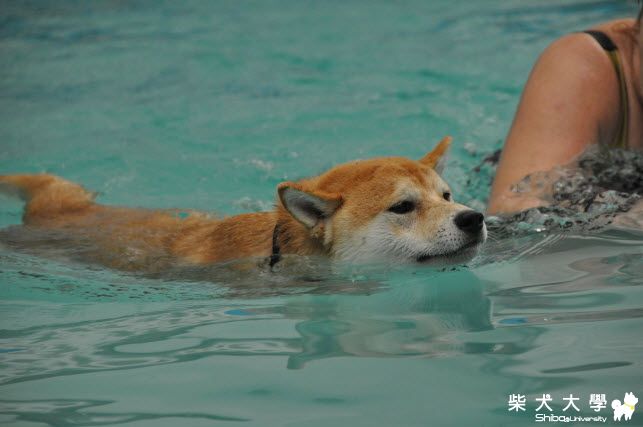 口吃弟弟戲水樂(原發表者:gowell)(相簿)