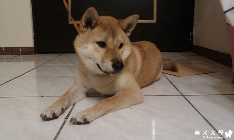 kimi長大了a(原發表者:kimi爸)(相簿)