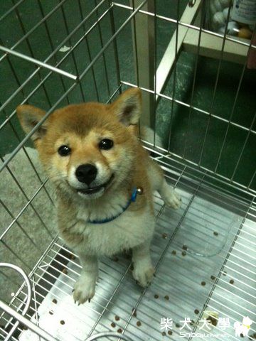 誰比較像猴子ㄚ...^_^(原發表者:nicole92)(相簿)